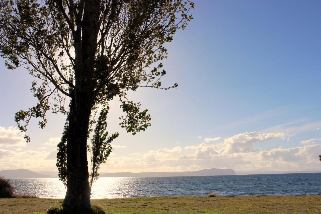 Bram'S Bach Villa Lago Lago Taupo Exterior foto